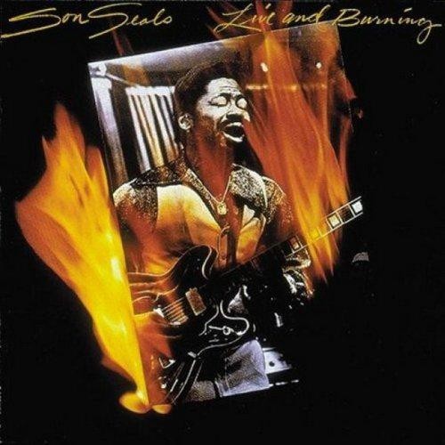 Live and burning - live, seals