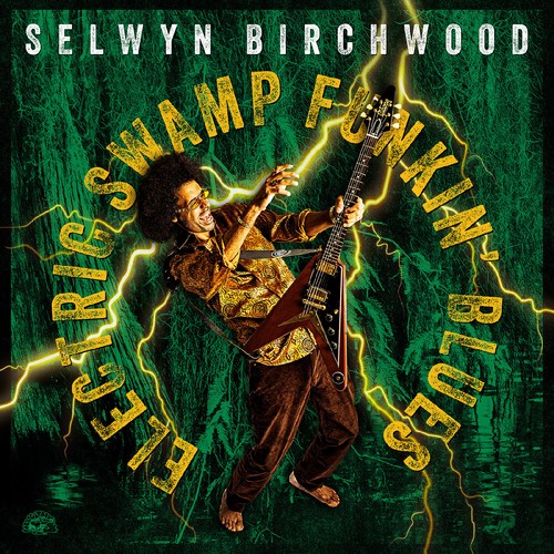 Selwyn birchwood electric - selwyn,